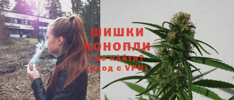 Конопля SATIVA & INDICA  дарнет шоп  Шлиссельбург 